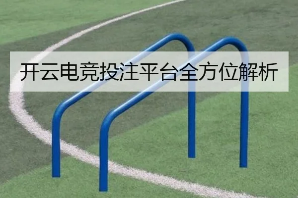 开云电竞投注平台全方位解析