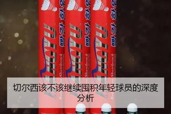 切尔西该不该继续囤积年轻球员的深度分析
